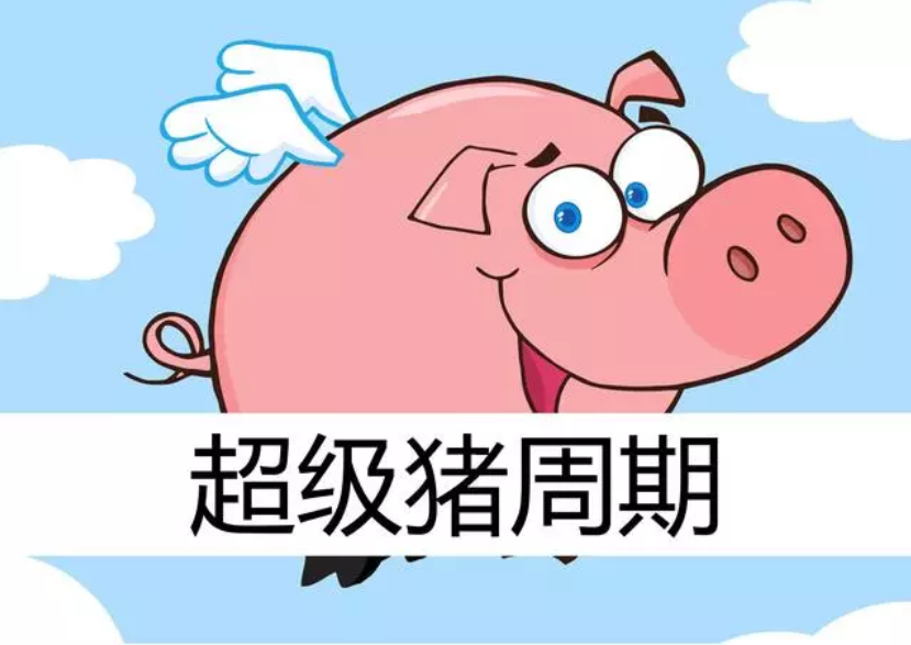 2019年下半年豬價(jià)預(yù)測(cè)：7、9月兩次大漲，第四季度將達(dá)到頂峰